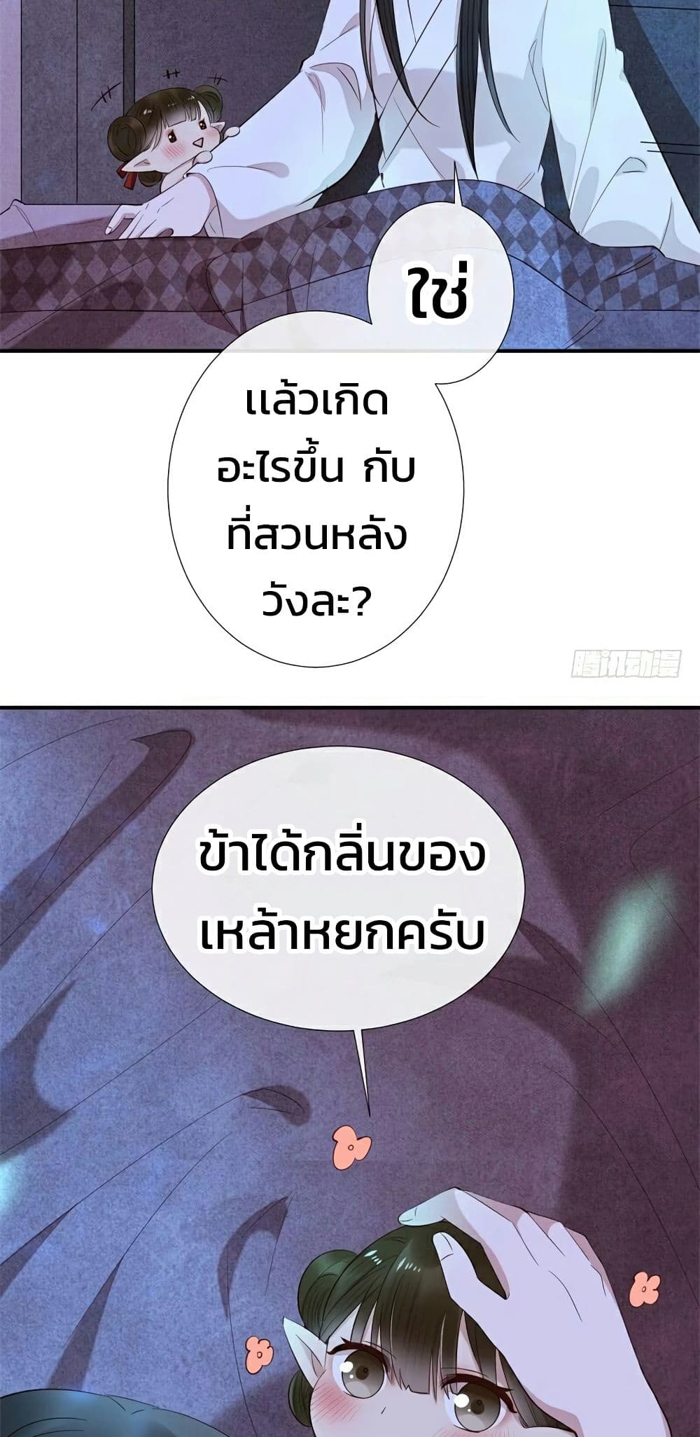 Genius Doctor: Black Belly Miss 15-15