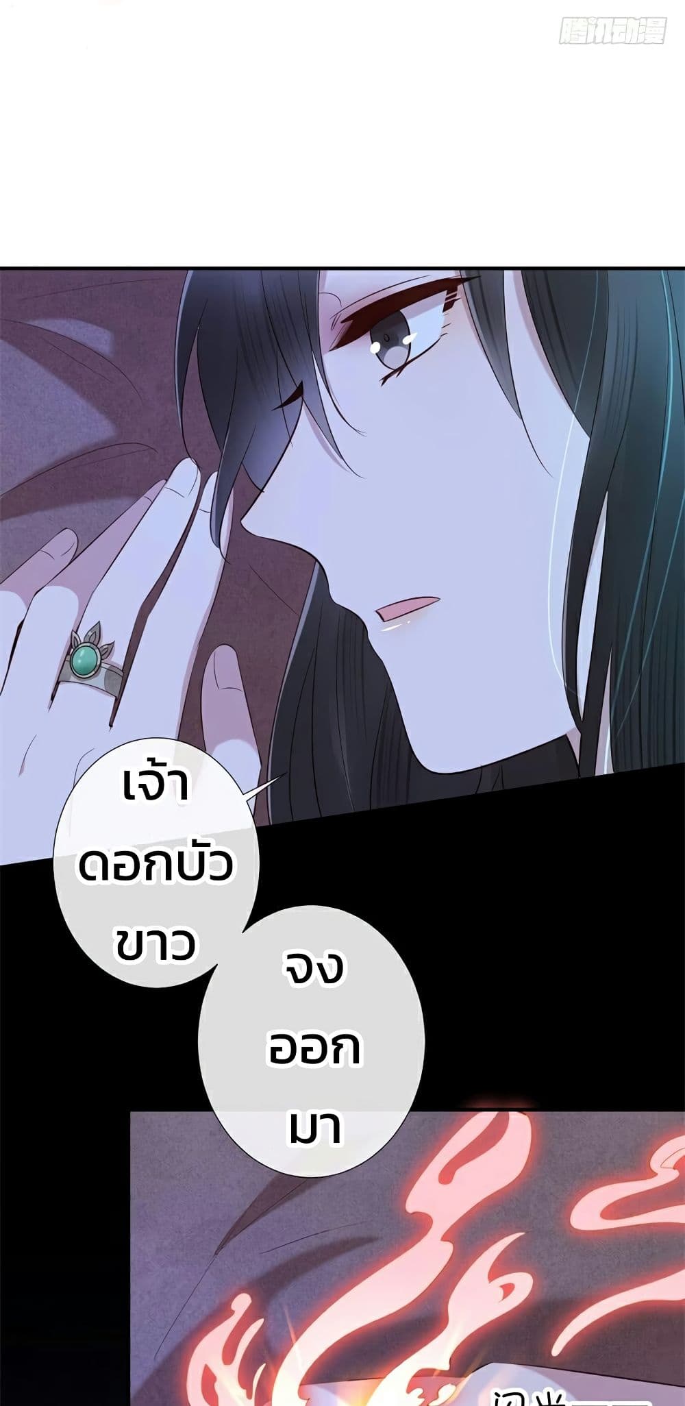 Genius Doctor: Black Belly Miss 15-15